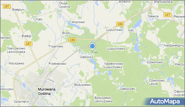 mapa Worowo, Worowo gmina Murowana Goślina na mapie Targeo